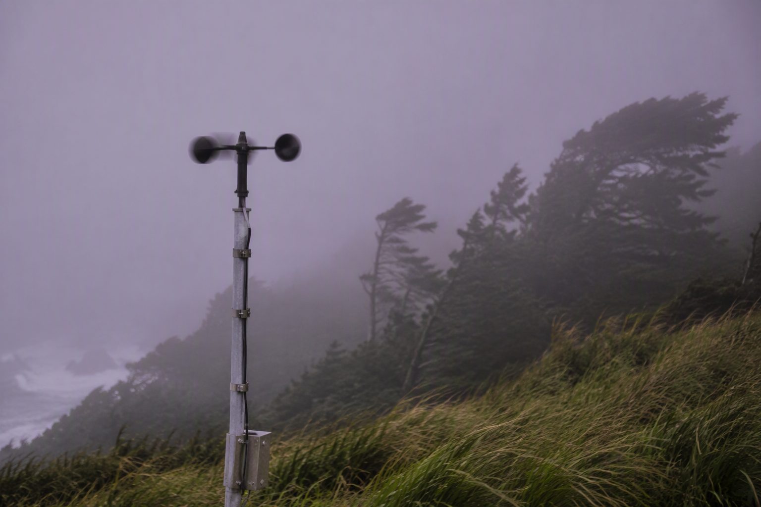 Cup anemometer on a mast at Tateyama Cape with Pacific fog rolling in over coastal pines