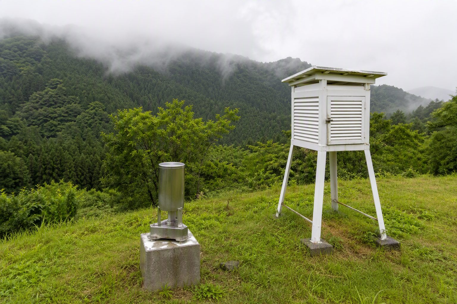 Rain gauge and instrument shelter on a grassy Tama Hills hilltop with cedar forest behind
